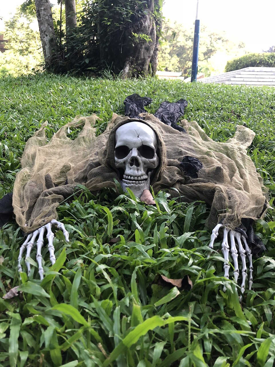 65 Inch Halloween Decorations Skeleton, Halloween Prop for Halloween Outdoor, Lawn, Yard, Patio Decoration, Graveyard Haunted House Decorations